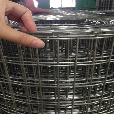 กันสนิม แกลนไซด์ 50 * 50 มิลลิเมตร สายไหม welded รั้ว 1/4 นิ้ว หลุมสี่เหลี่ยม สแตนเลส สายไหม สายไหม โดยผู้ผลิต ราคาปลีก