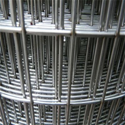 สามารถปรับปรุง 4ftx50ft สายเหล็ก welded Mesh สายเหล็กไก่นกกรง Mesh สาย