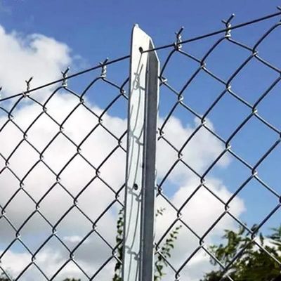 8ft ความสูงเหล็กกระดาษโซ่ Link รั้ว สวนสัตว์ Wire Mesh สําหรับสัตว์ทั้งหมด