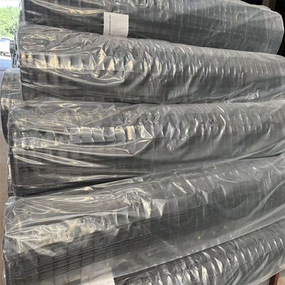 ราคาโรงงาน คุณภาพสูง 50x50 มม เขียว PVC ปกแต่ง Hollande แผ่นรั้ว Mesh สายไหม welded สําหรับรั้วยูโร