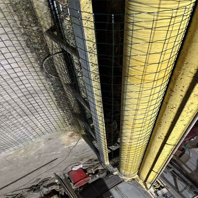ขายปลีก 2*3*3*4*4 PVC โฮแลนด์ สายใย Netherlands Network Dutch Wire Mesh Fence