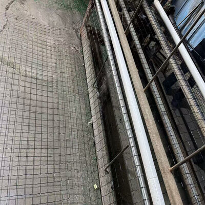 ขายปลีก 2*3*3*4*4 PVC โฮแลนด์ สายใย Netherlands Network Dutch Wire Mesh Fence