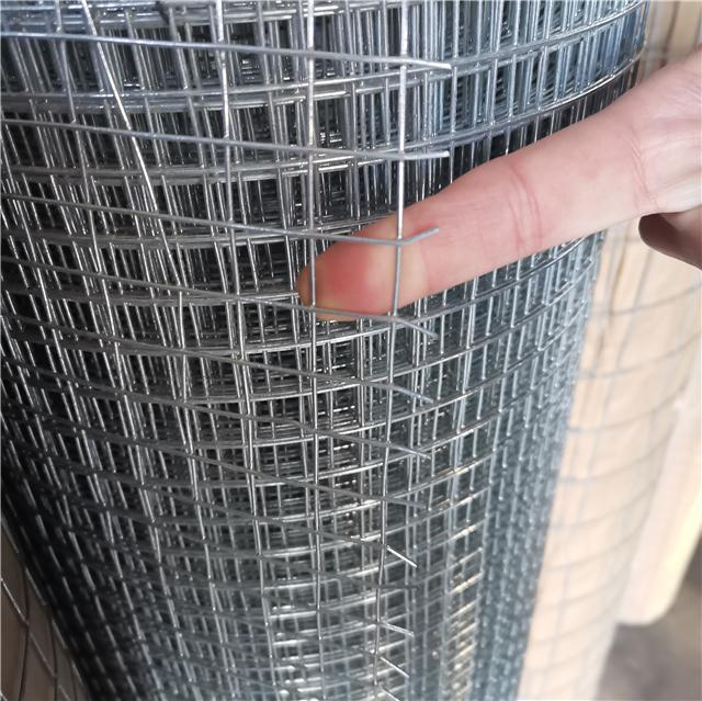 1/2x1 1x1 Hot Dip Galvanized Iron Weldered Wire Hardware Cloth Mesh Rolls/ 16 Gauge Electro Galvanized square Hole Weldered Mesh สายสลัดแบบสี่เหลี่ยม 3