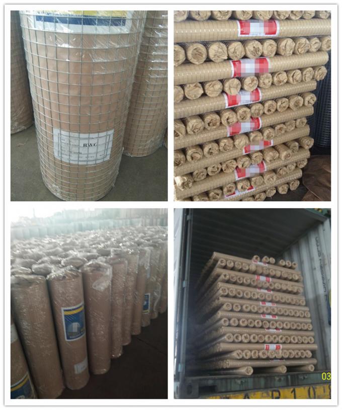 1/2x1 1x1 Hot Dip Galvanized Iron Weldered Wire Hardware Cloth Mesh Rolls/ 16 Gauge Electro Galvanized square Hole Weldered Mesh สายสลัดแบบสี่เหลี่ยม 9
